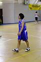 Basket 242027